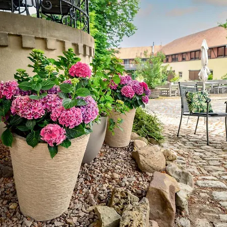 Schloss Hotel 3*